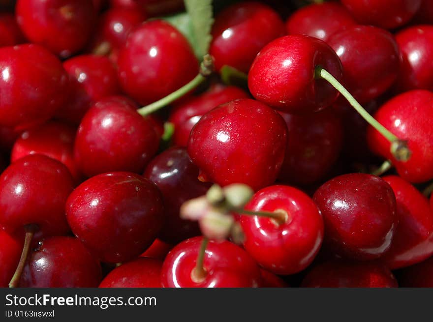 Fresh red cherry good year for the crops