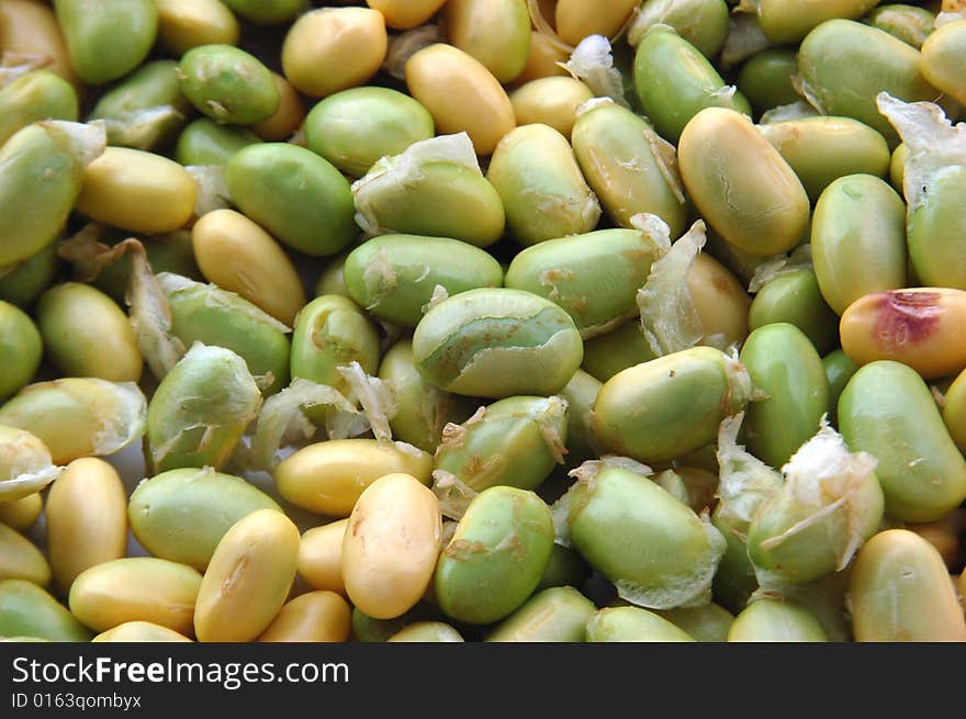 Fresh green bean close-up. Fresh green bean close-up