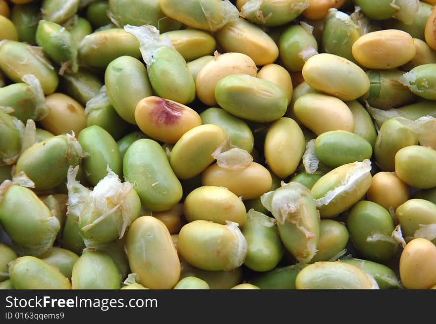 Fresh green bean close-up. Fresh green bean close-up