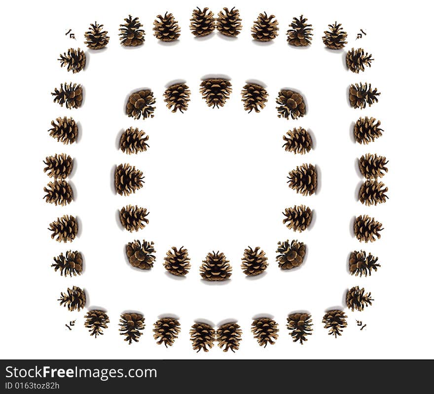 Pine cones circle isolated on white