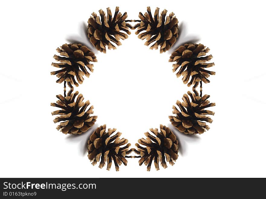 Pine cones circle isolated on white background. Pine cones circle isolated on white background