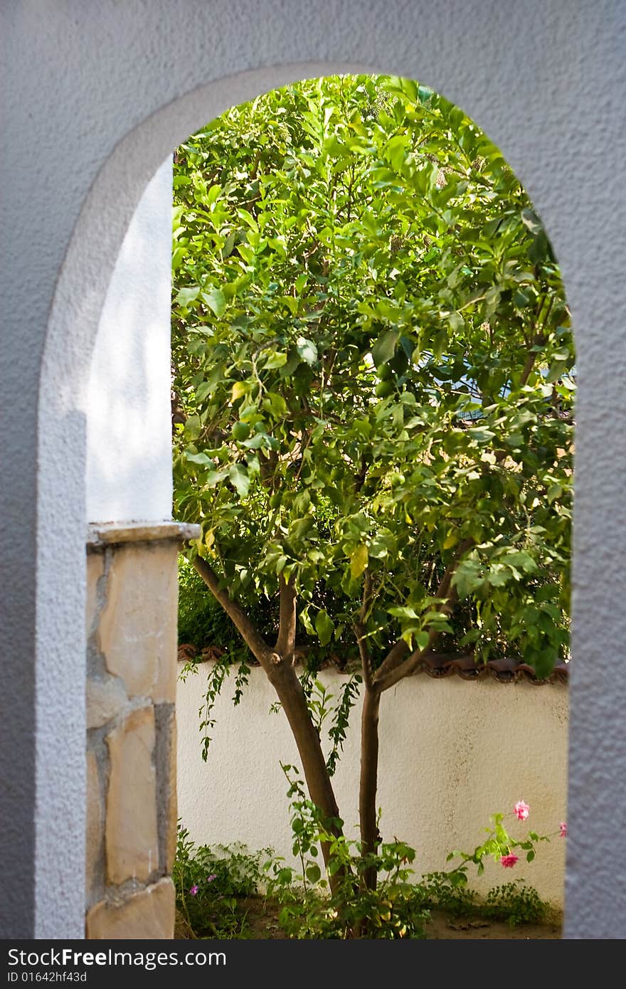 Beautiful white arch on a background of trees