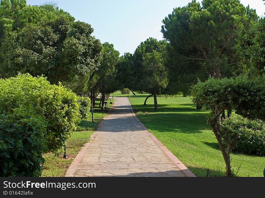 Stone road in park among green trees