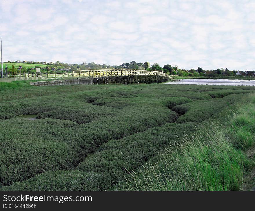 Coastal estuary