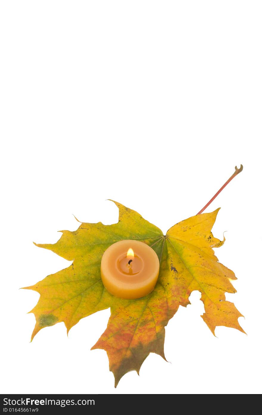 Autumn maple leaf and tea light. Autumn maple leaf and tea light