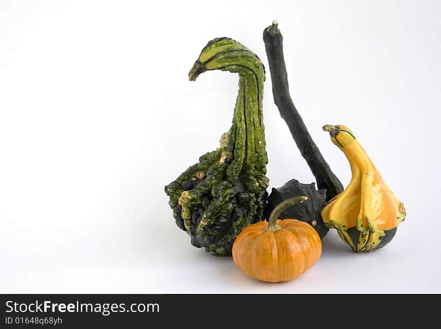 Different shaped gourds on white background