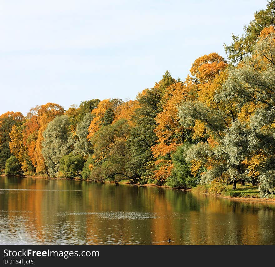 Fall reflection on the pond