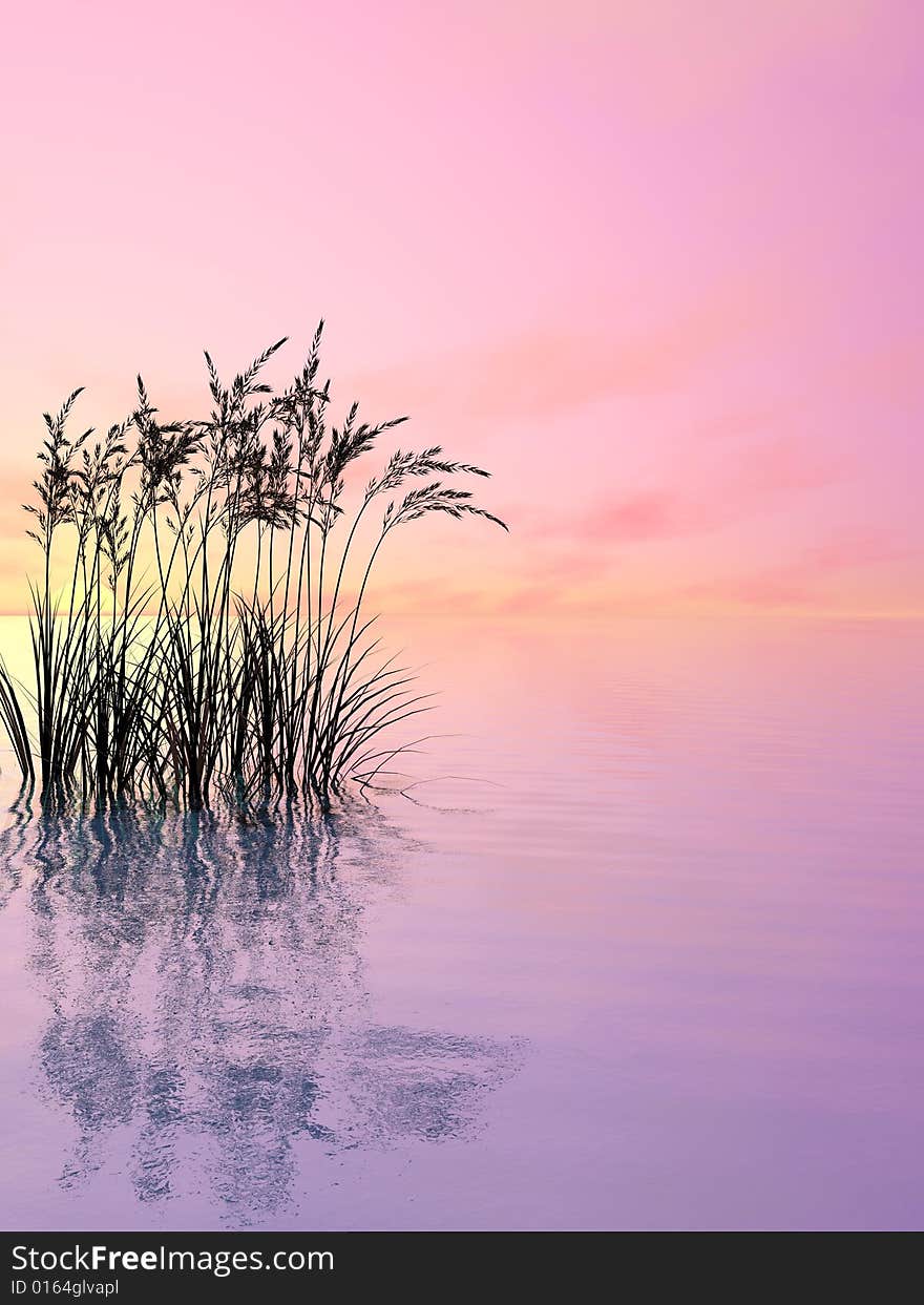 Water plants on a sea sunset  background  -  3D scene. Water plants on a sea sunset  background  -  3D scene.