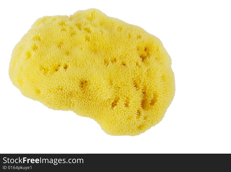 Yellow natural sponge isolated on white