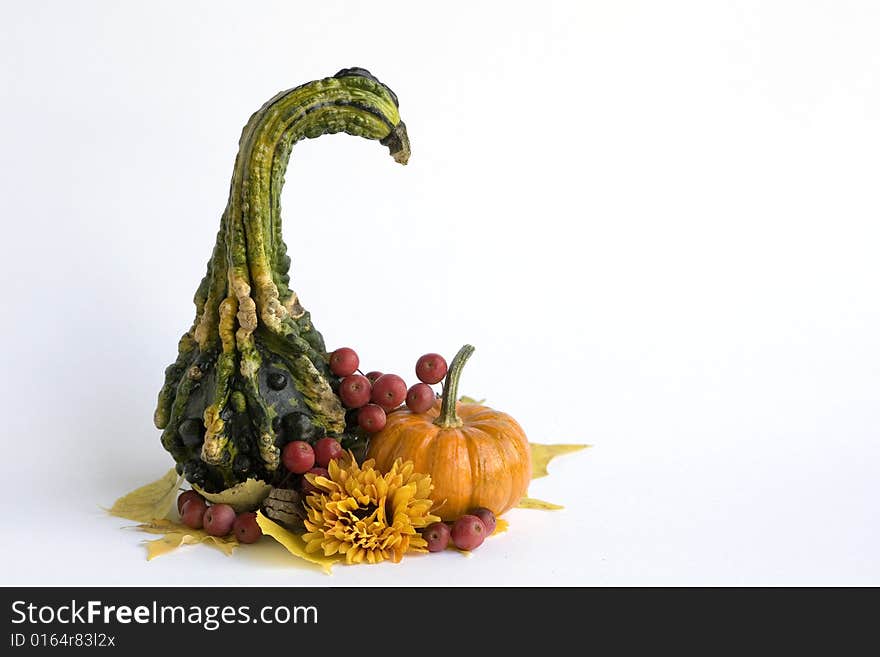 Pumpkins and berries on yellow leaves on white background