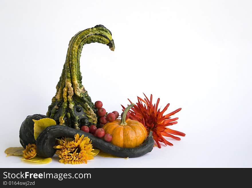 Pumkins with flowers and berries on white background