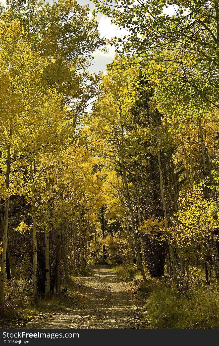 Aspen road