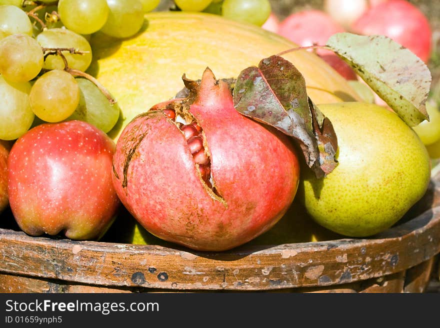 Basket full of autumn fruits. Pumpkin, grapes, pomegranate, apple, pear. Harvest concept. Basket full of autumn fruits. Pumpkin, grapes, pomegranate, apple, pear. Harvest concept.