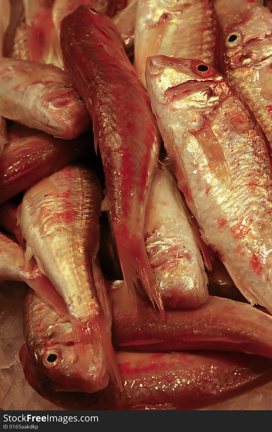 Red Mullet in Fish Market, Barcelona