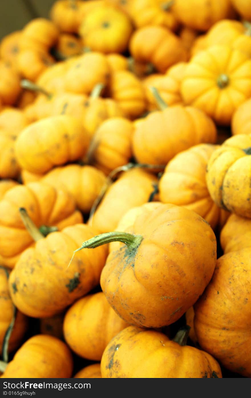 Fall pumpkins in a pile in a container