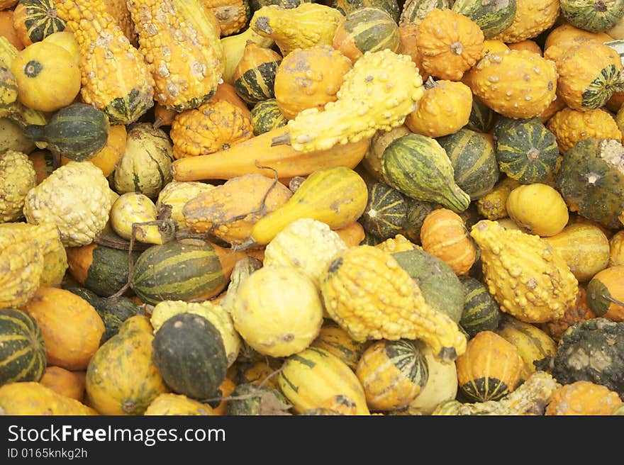 Squash and gourd fall harvest assortment. Squash and gourd fall harvest assortment