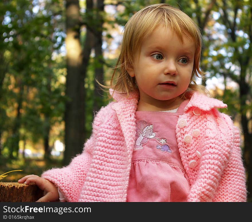 Autumn portrait of cute little caucasian girl. Autumn portrait of cute little caucasian girl