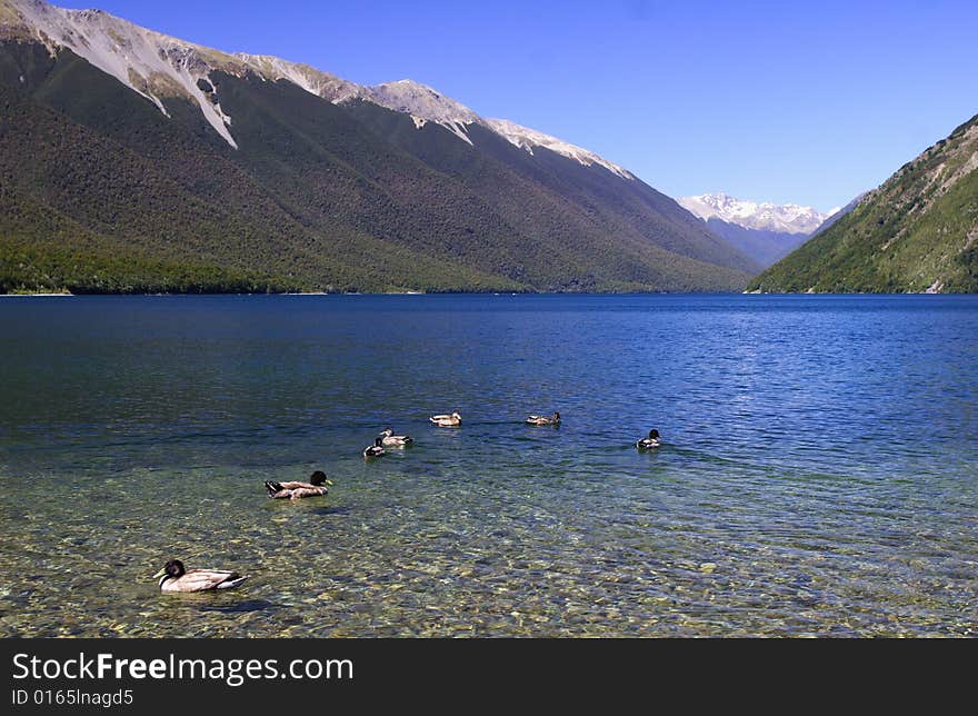 Pure Lake Rotoiti