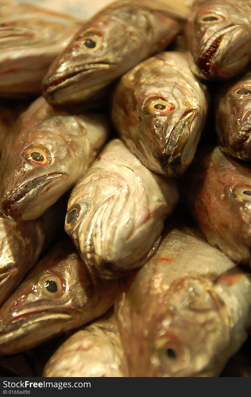 Fishes in Fish Market, Barcelona; Sdof