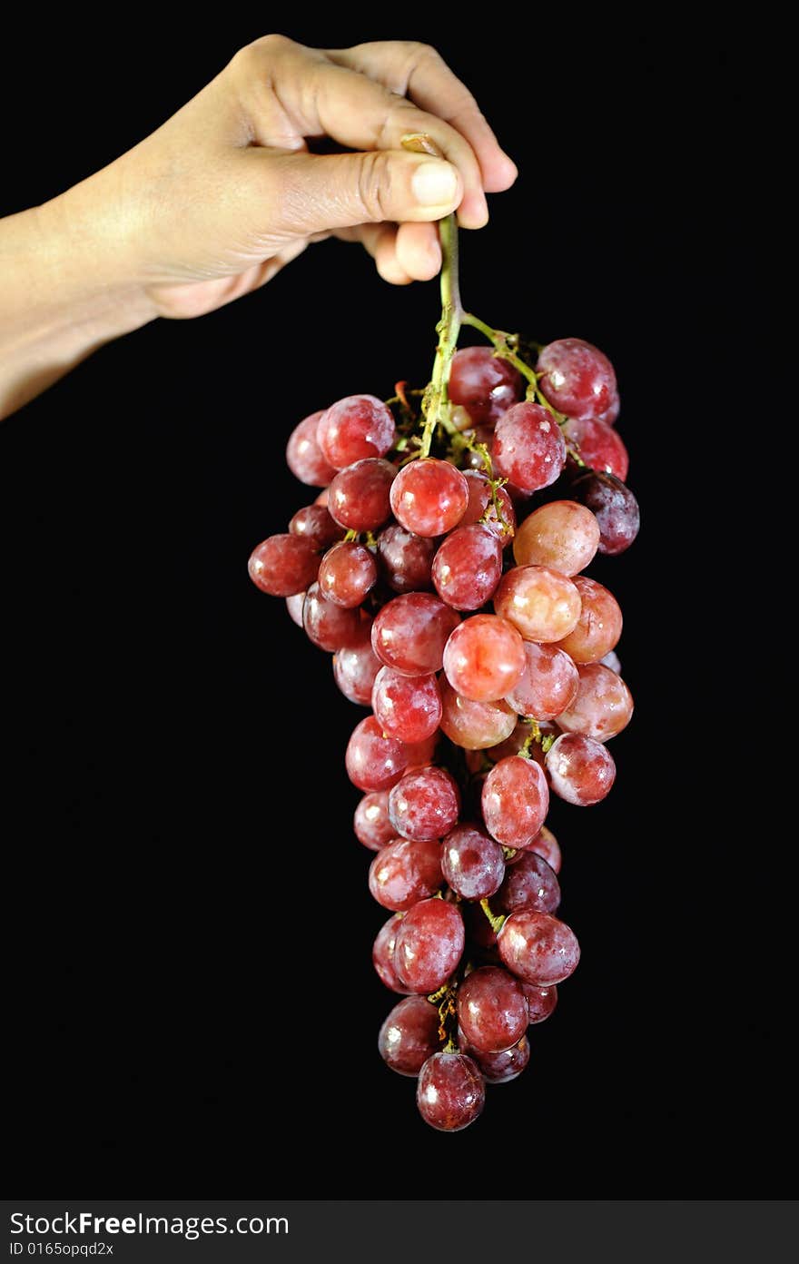 Grapes 2