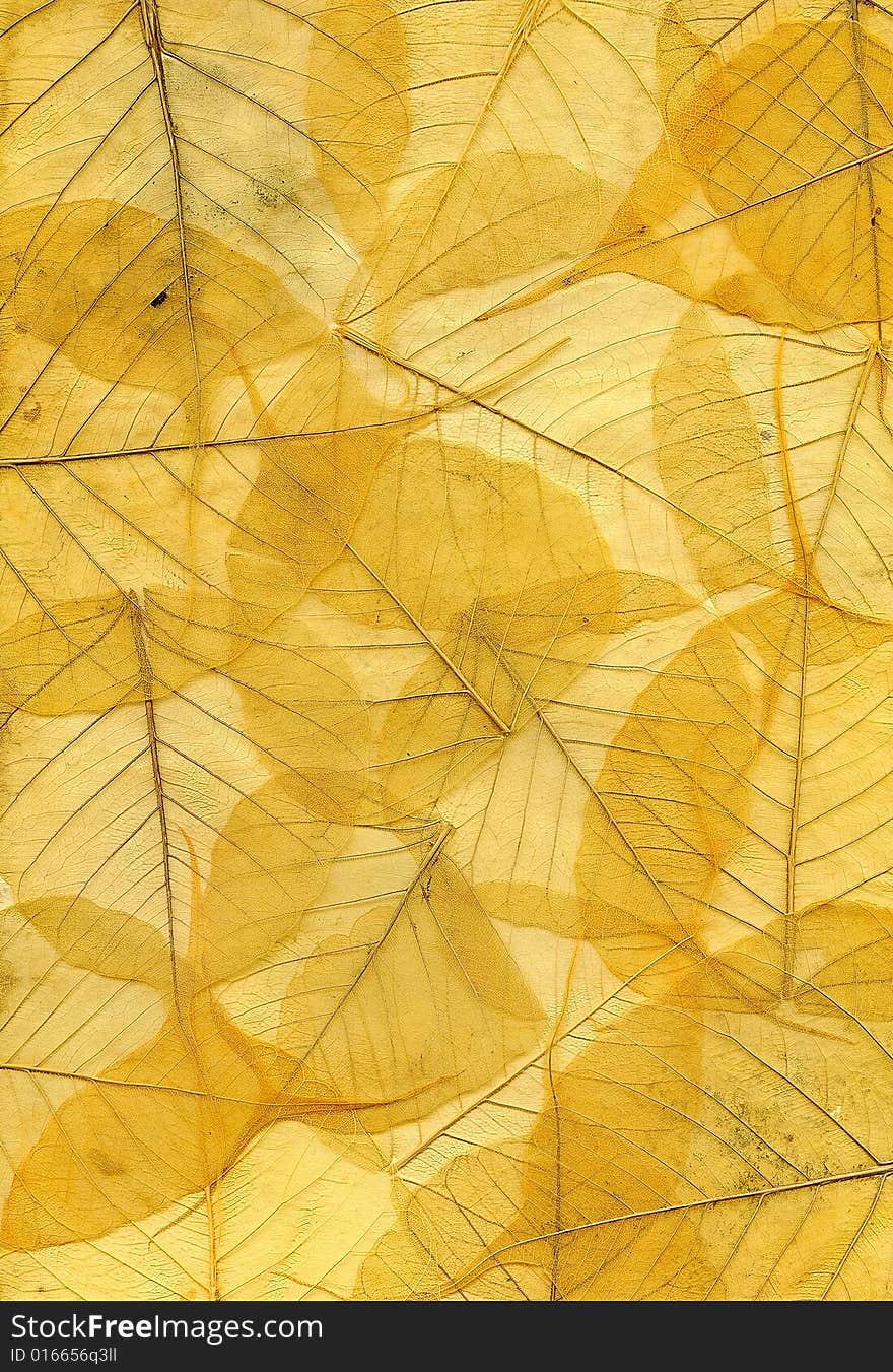 Background image of yellow fallen autumn leaves