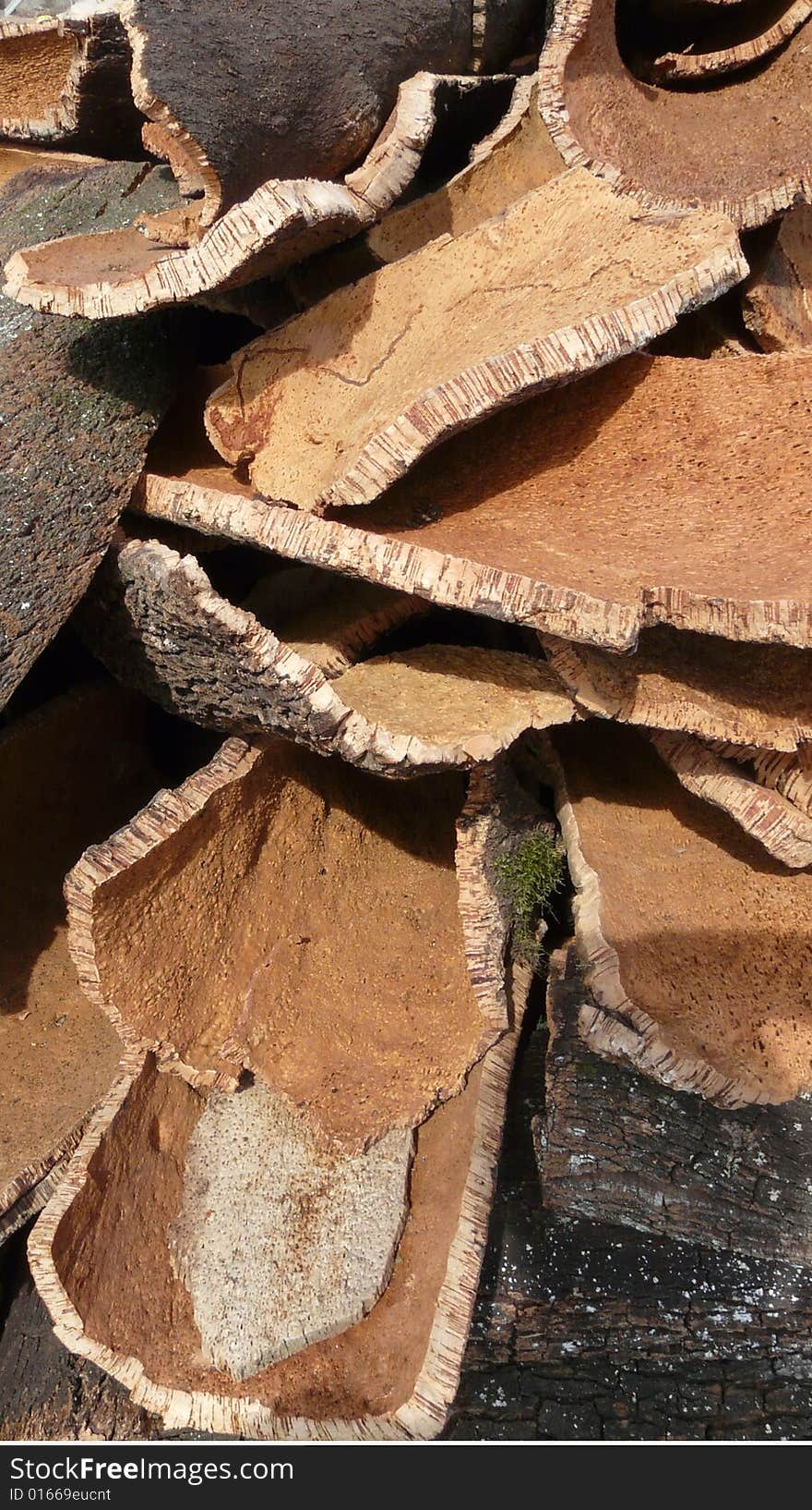 Stack of oak's bark used to produce corks for wine bottles. Stack of oak's bark used to produce corks for wine bottles