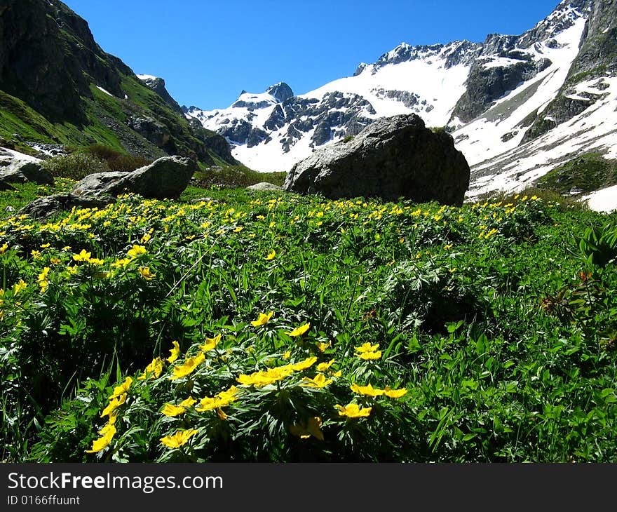 Caucas mountains