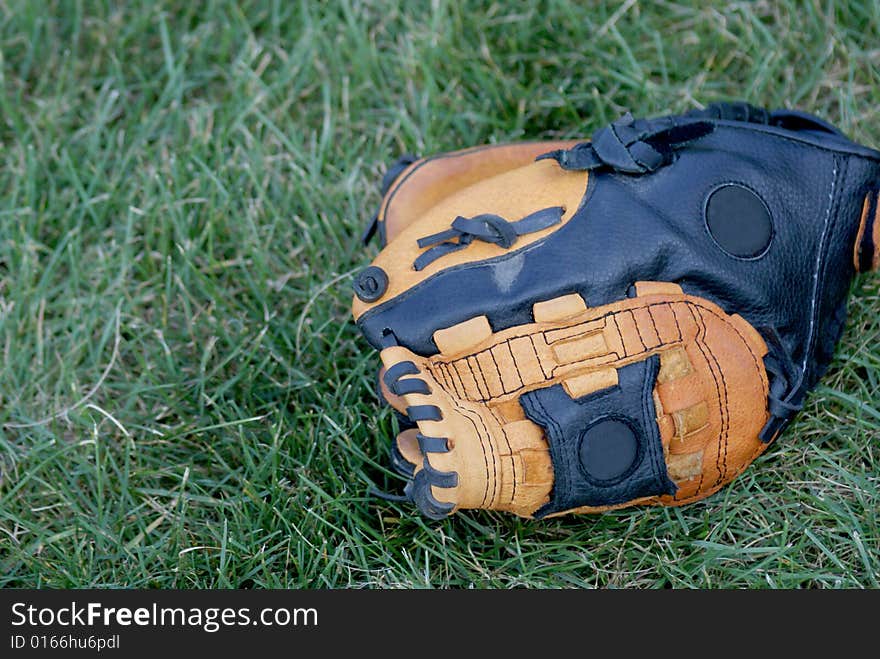 Baseball glove in grass