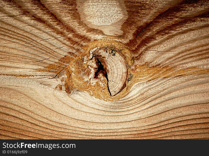 Wood Texture