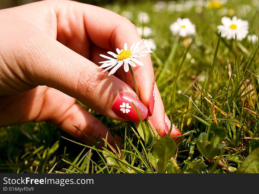 Woman hand with beautiful colored fingernails. Cosmetic and manicure. Woman hand with beautiful colored fingernails. Cosmetic and manicure