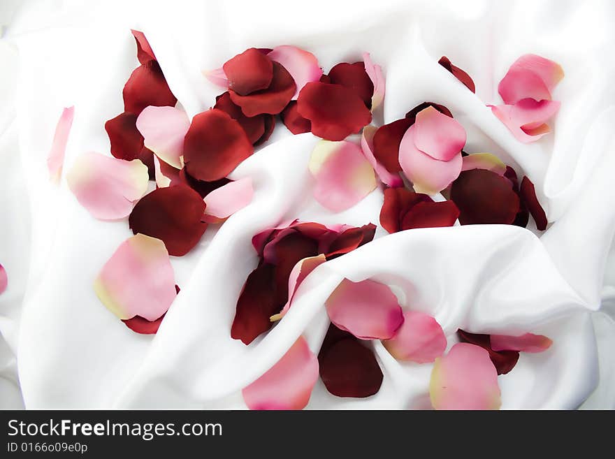 Rose-petals scattered on white silk