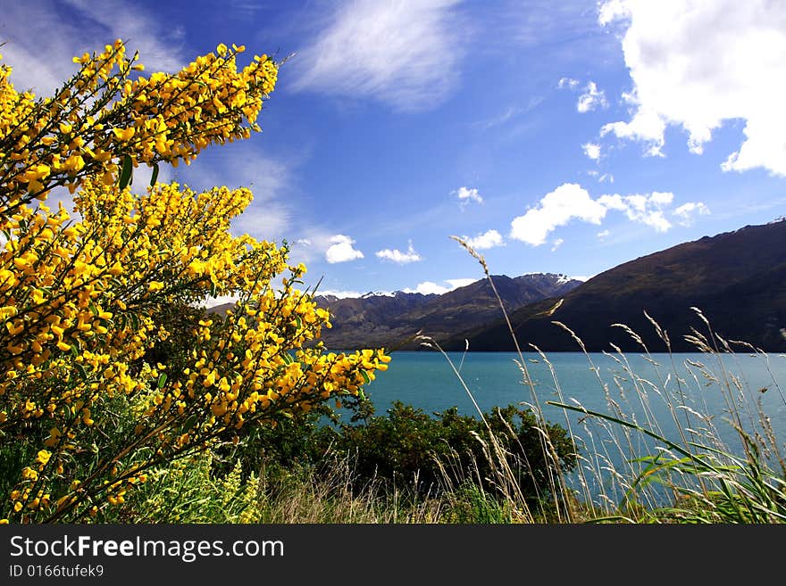 Lake Wanaka