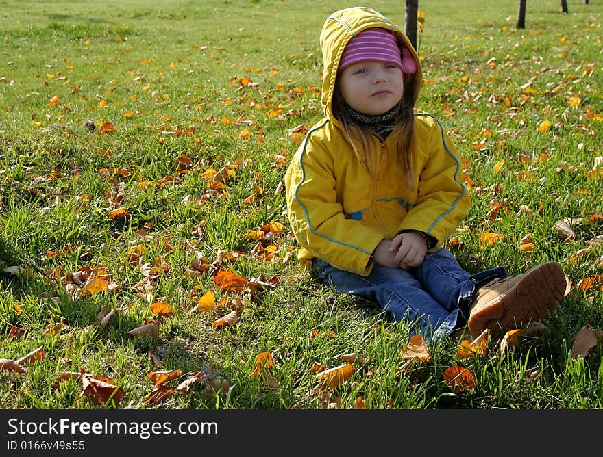 Young pretty girl sitting among yellow leaves. Young pretty girl sitting among yellow leaves