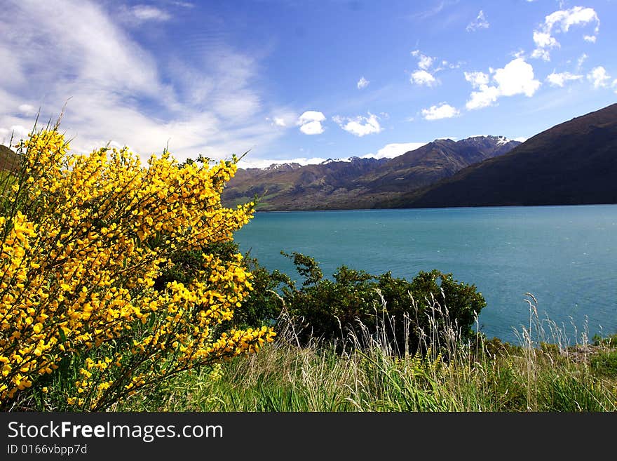 Lake Wanaka