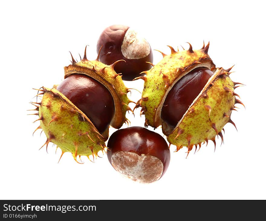 Chestnuts isolated on white