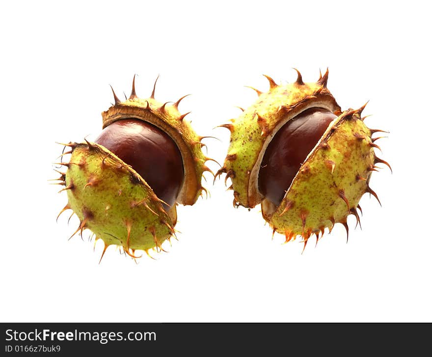 Two Chestnuts