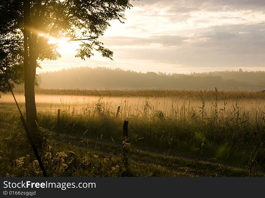 Morning shot of the fading mist. Morning shot of the fading mist.