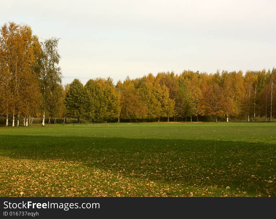 Autumn background