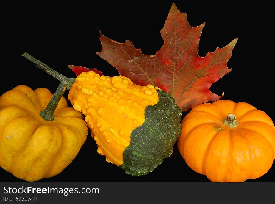 An image of a mini-pumpkins and squash with a Canadian maple leaf with a black backdrop to signify Canadian Thanksgiving in October. An image of a mini-pumpkins and squash with a Canadian maple leaf with a black backdrop to signify Canadian Thanksgiving in October.