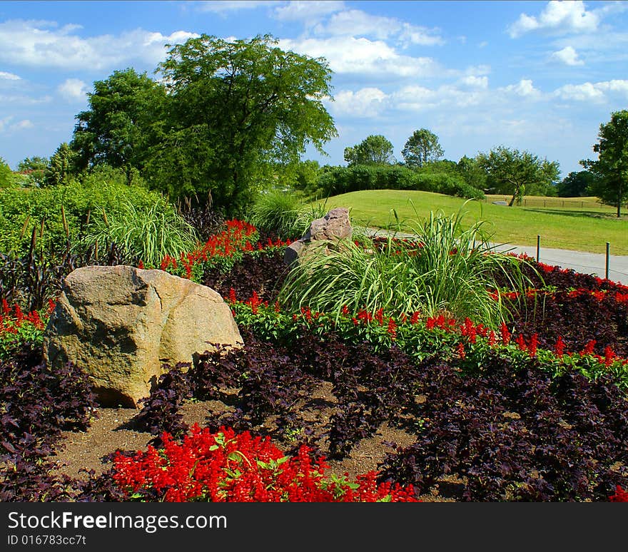 A beautiful garden full of life and color.