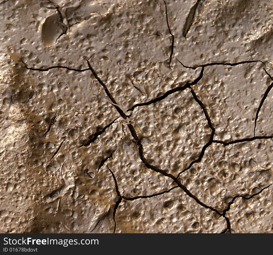 Mud Texture