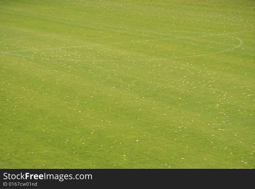 The football ground covered with fallen down autumn leaves. The football ground covered with fallen down autumn leaves.