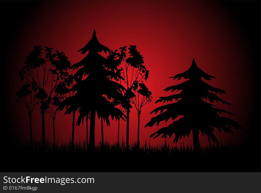 Evening forest over black and red sky