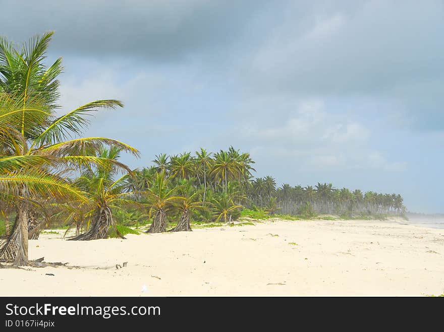 Tropical beach