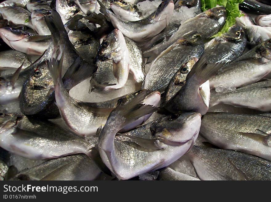 Fresh fish in the fishmarket. Fresh fish in the fishmarket.