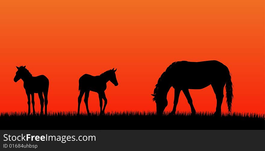 Mare with foals over sunset