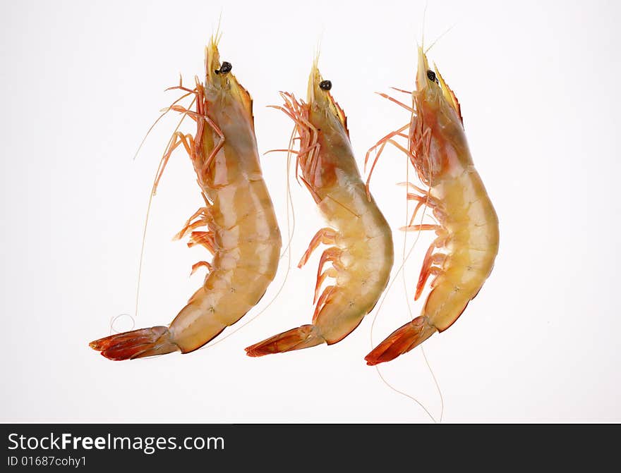 Shrimps