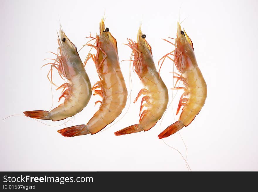 Shrimps