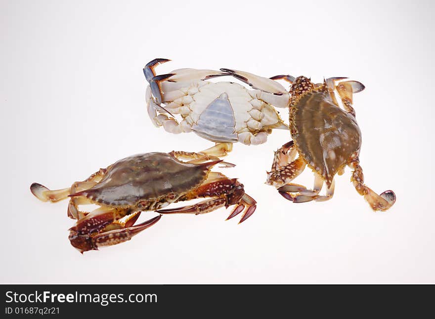 Crabs