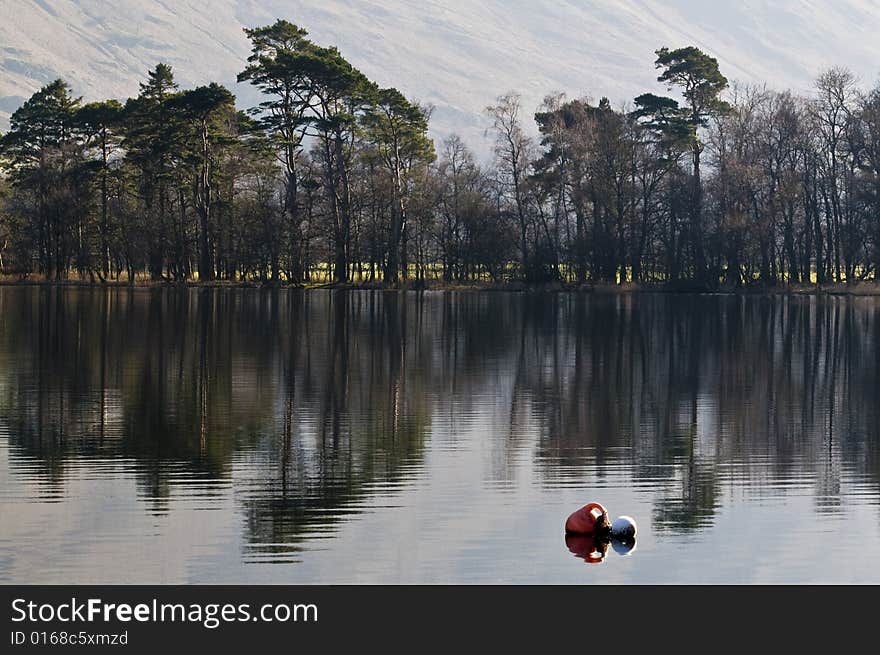 Shimmering reflections of tall trees on a lake, with coloured buoy in the foreground. Shimmering reflections of tall trees on a lake, with coloured buoy in the foreground.